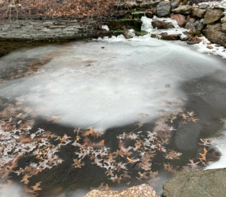How To Keep A Koi Pond Safe During Freezing Weather