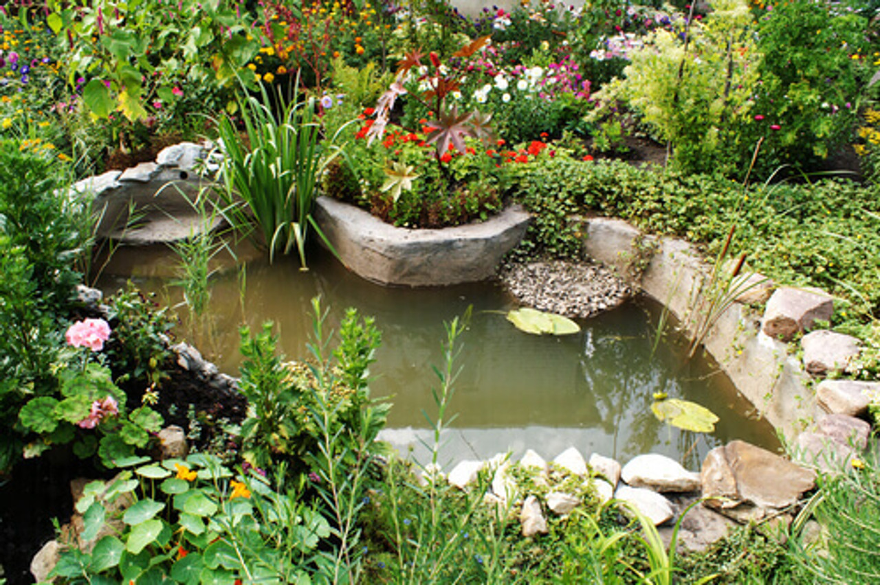 How To Use Beneficial Pond Bacteria Most Effectively