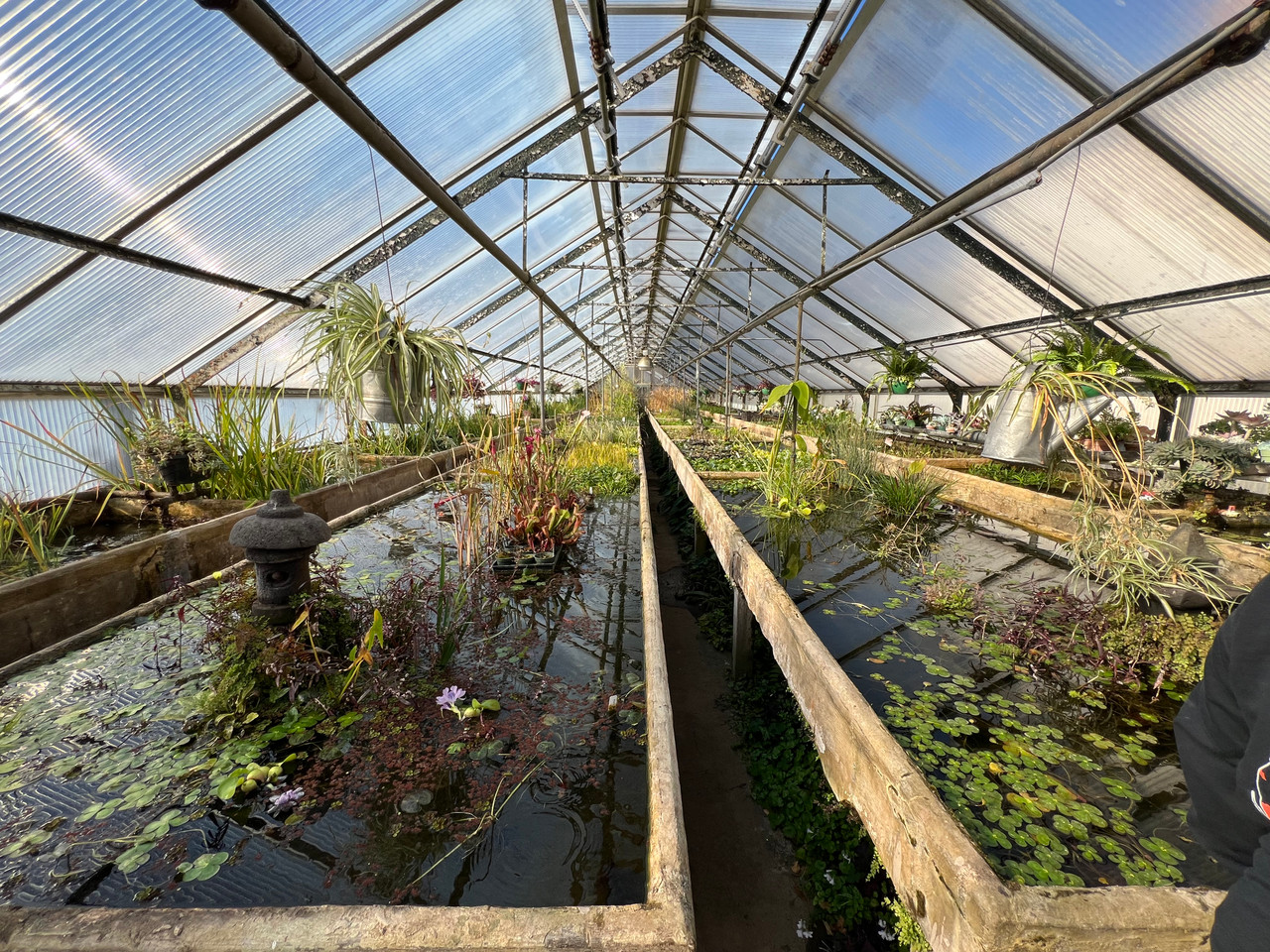 Honoring the Past, Building the Future: Fitz’s Fish Ponds Expands with 6th Retail Location to Historic Waterford Gardens
