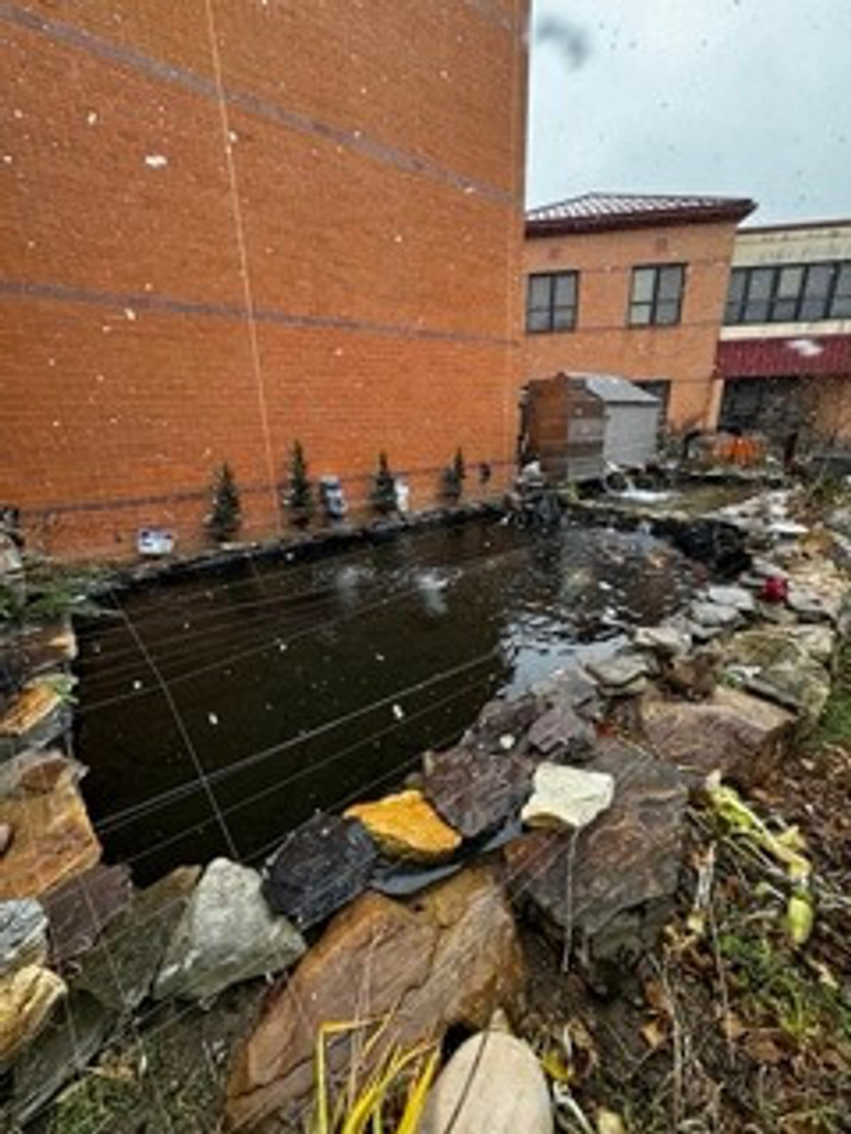 FITZ’S FISH PONDS INSPIRES NEXT GENERATION WITH KOI KEEPING PRESENTATION AT GARNET VALLEY MIDDLE SCHOOL IN GLEN MILLS, PA