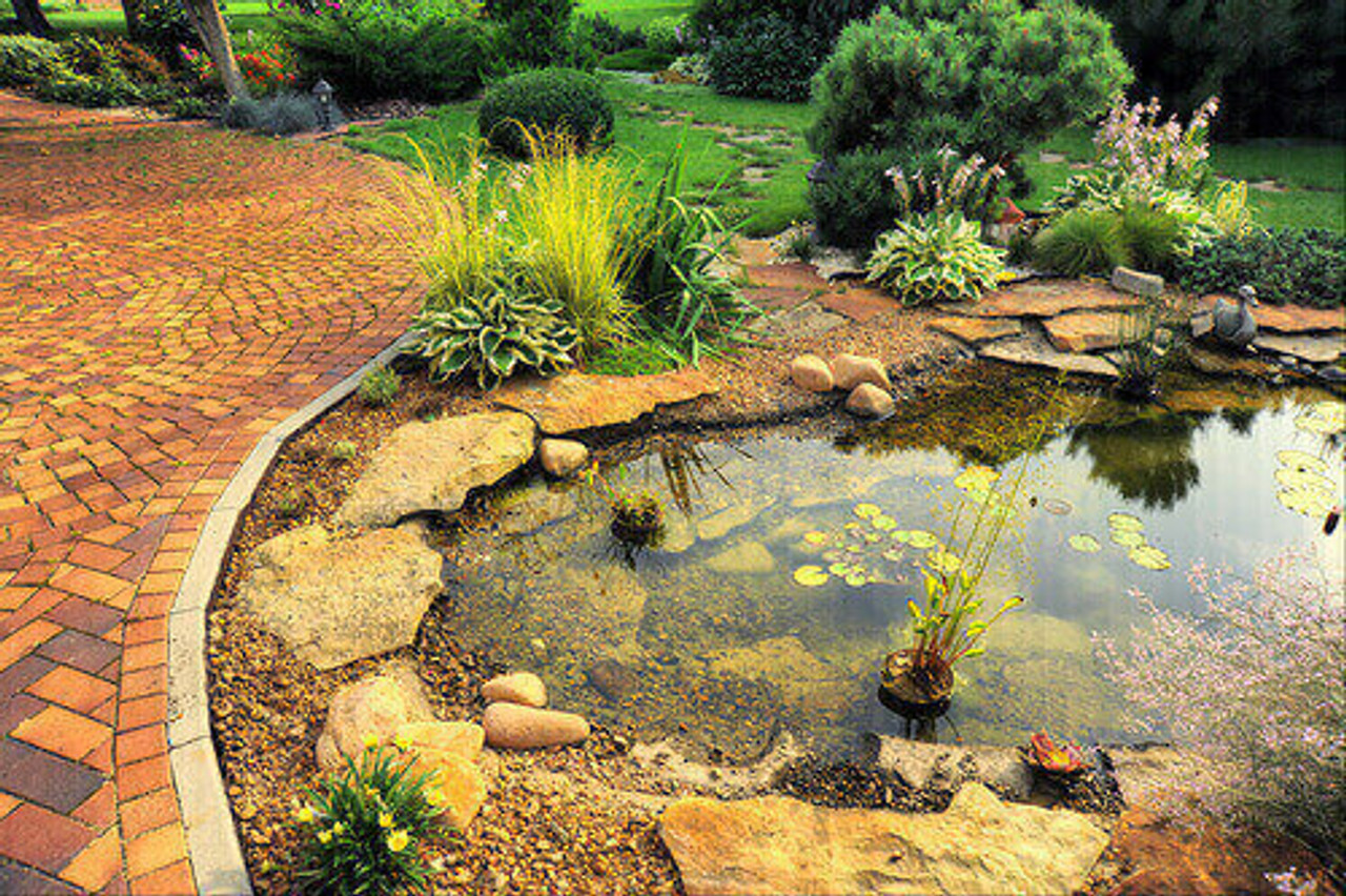 Is Your Pond Ready For The Fall Season?