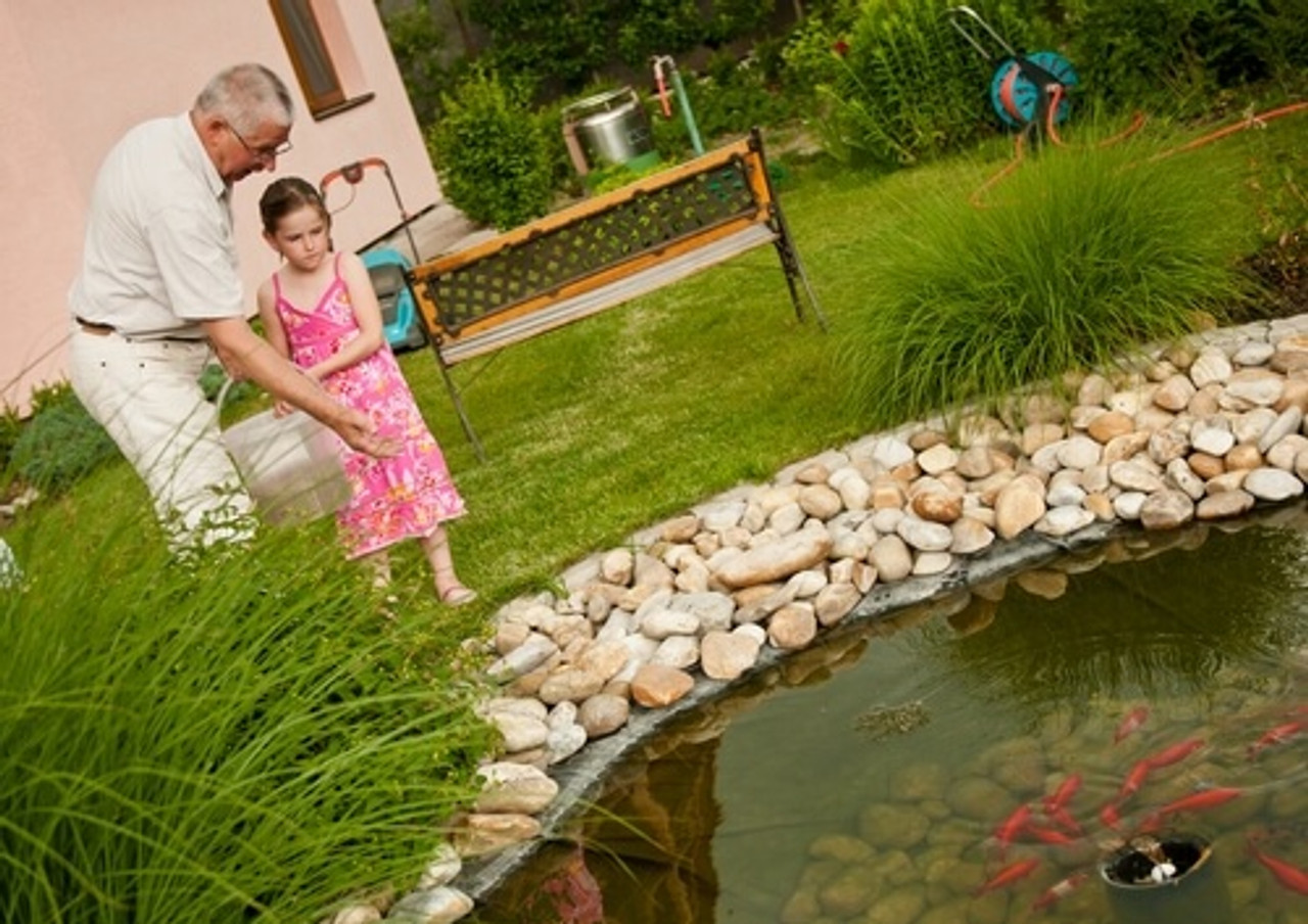 Keeping Children Safe Around Your Pond