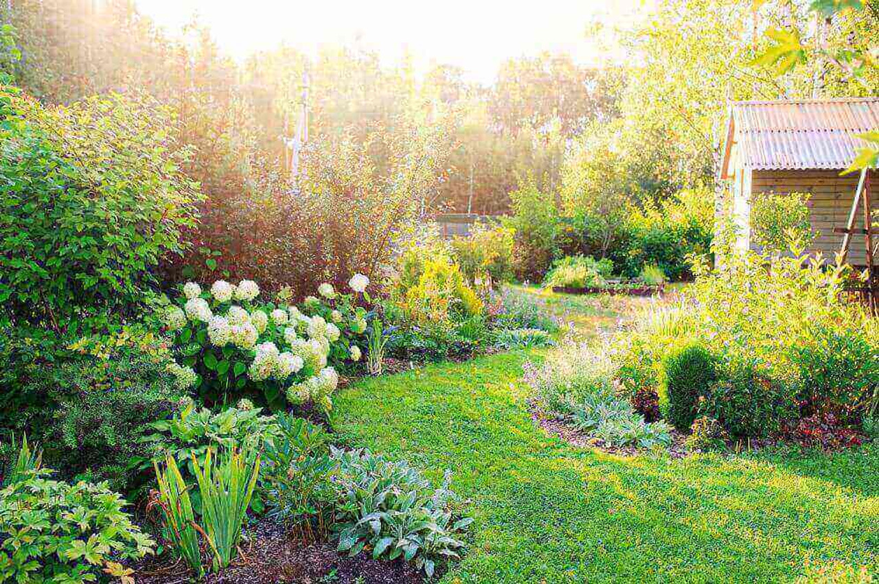 Landscaping Tips For Using Flowers