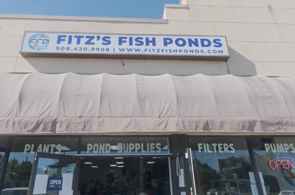 From Lily Pond Emporium to Fitz’s Fish Ponds: Celebrating a New Chapter in Mount Holly, NJ