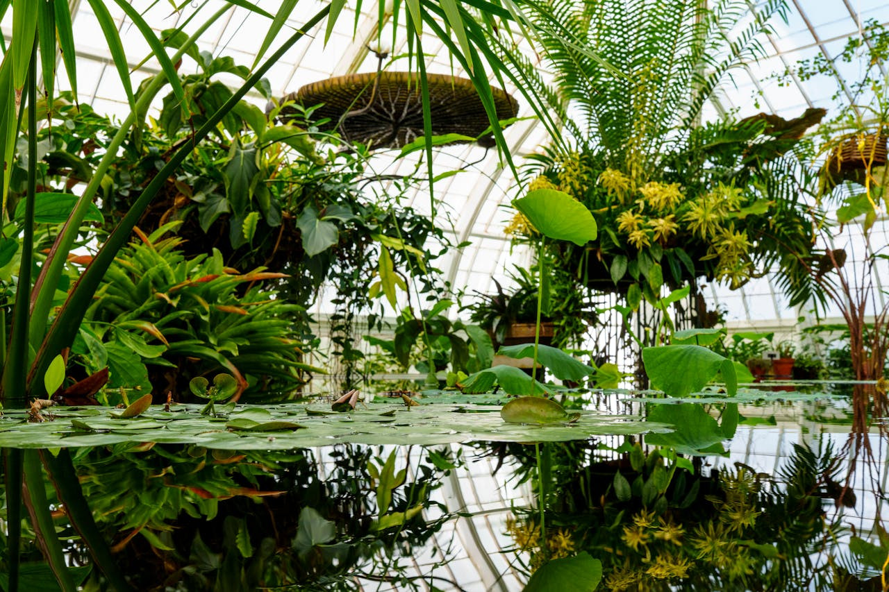 9 of the Commonest Mistakes When Moving a Pond Indoors