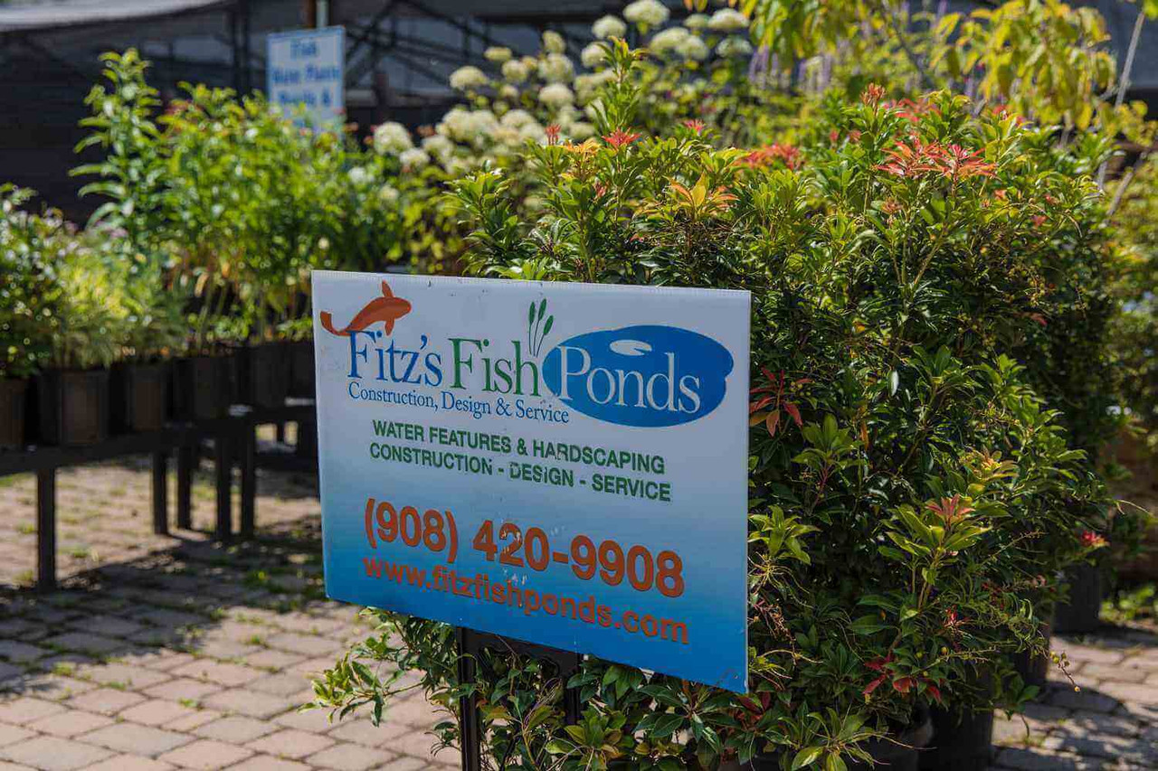 Fitz's Fish Ponds Debuts On The 2018 Inc. 5000 List