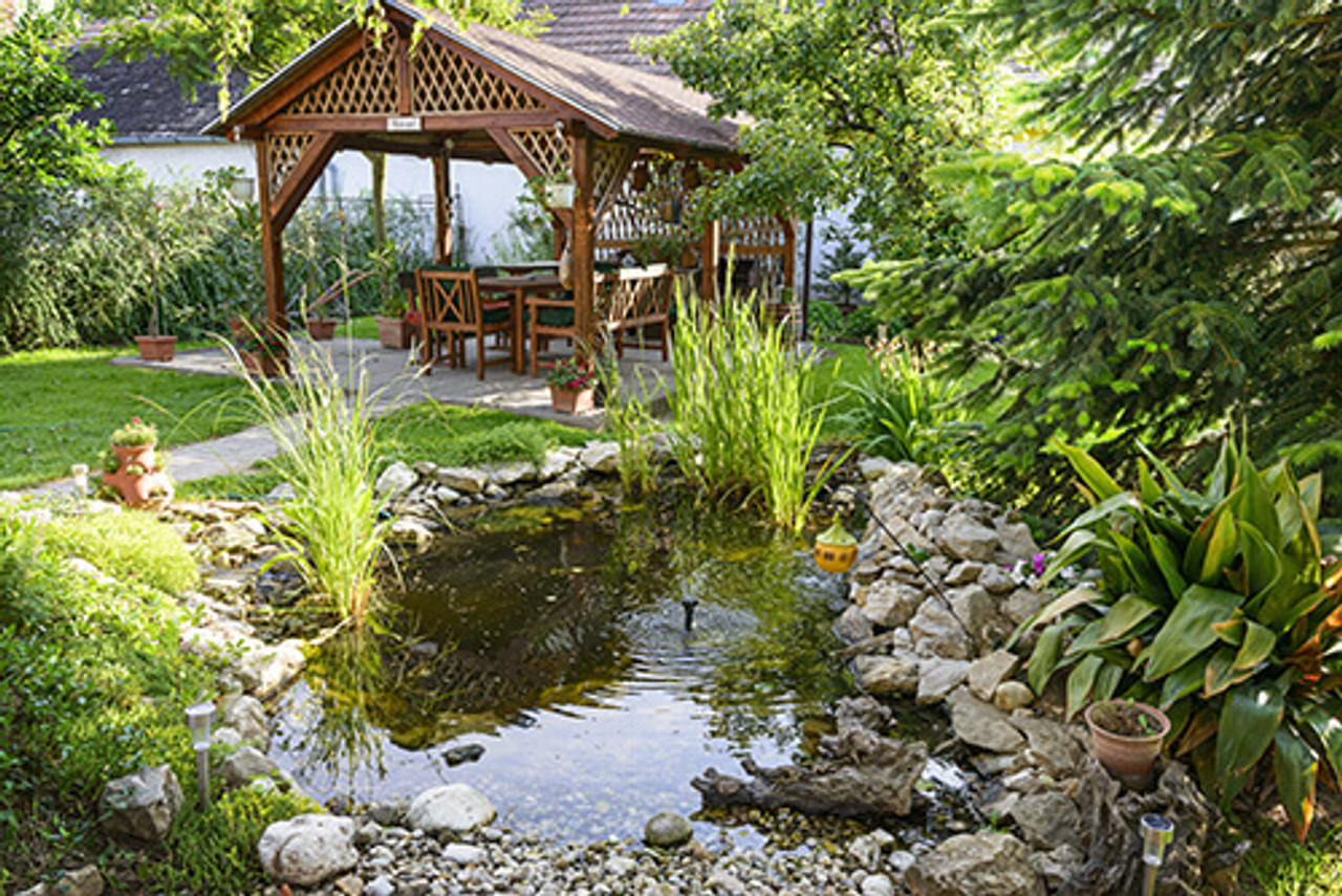 Pond Maintenance Tips For The Summer Season