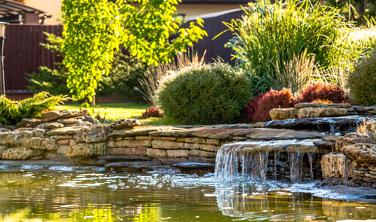 Quick Tips For Your First Pond Landscaping Project