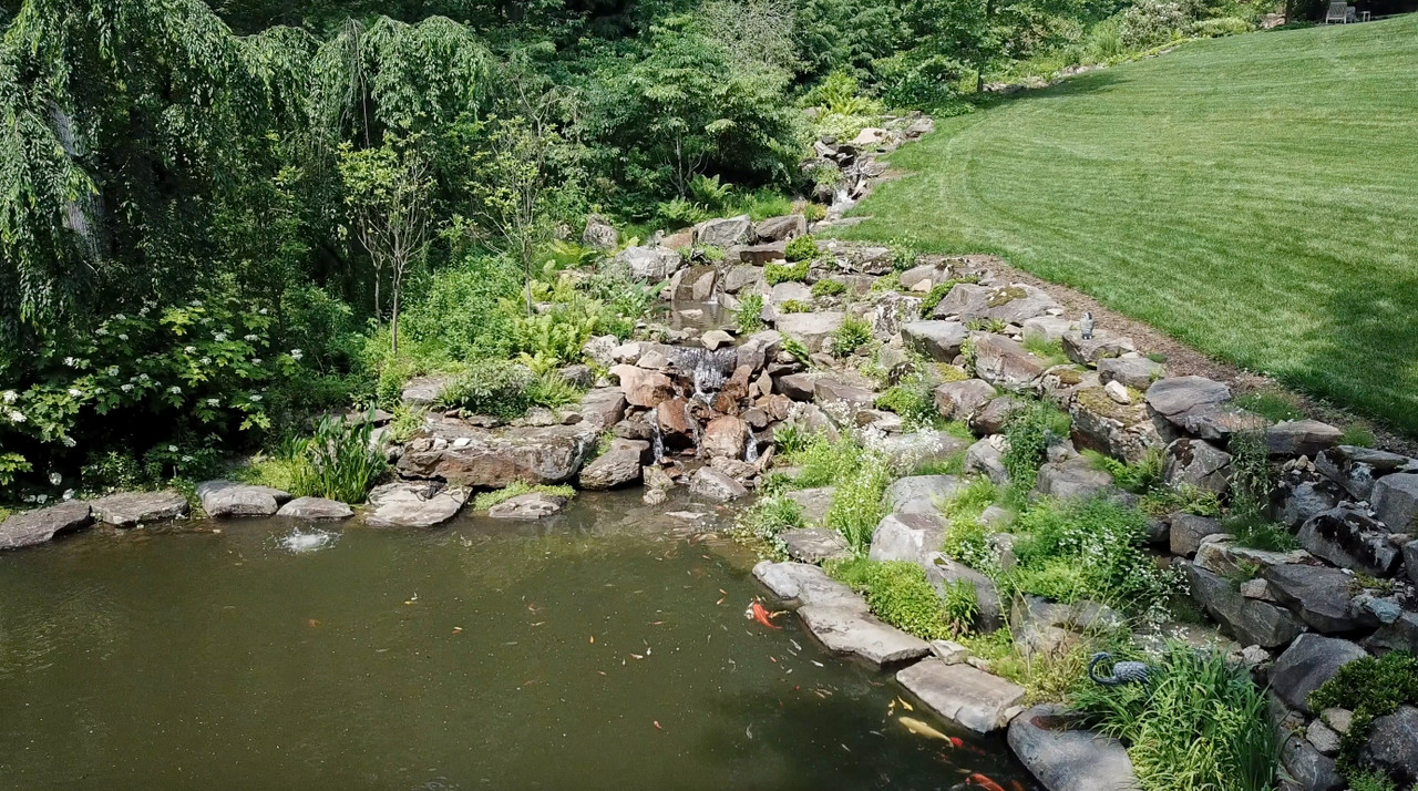 A 150,000 Gallon Pond Oasis in Pennsylvania