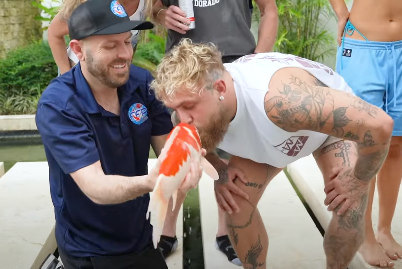 A KNOCKOUT DELIVERY:  Fitz’s Fish Ponds Delivers Koi to Jake Paul