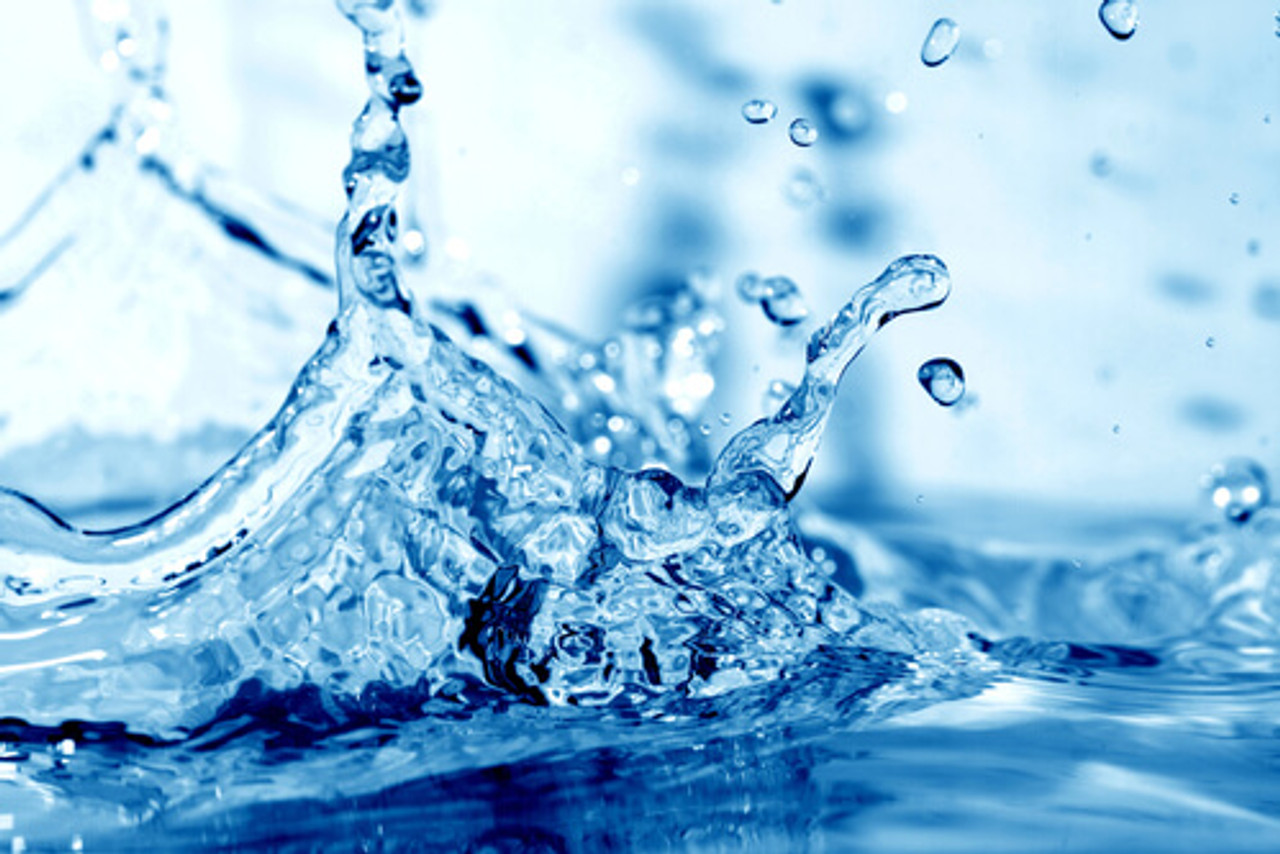 Sustainable Landscaping: Water Conservation and Chemical-Free Lawn Care