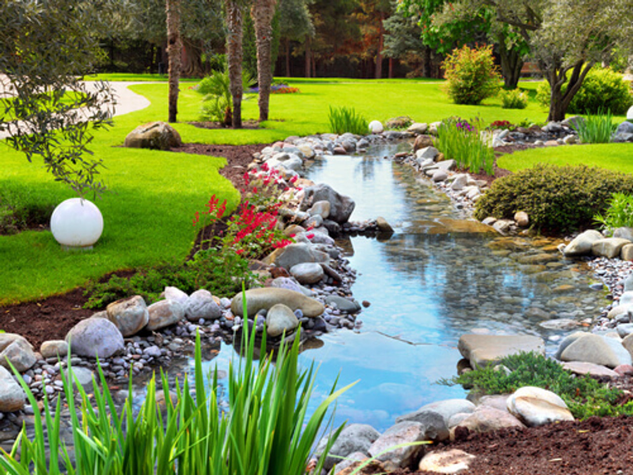 The Most Popular Water Garden Trends For 2019