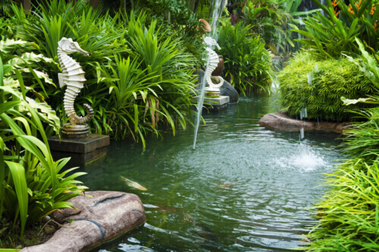 Top Reasons Why People Get Water Features