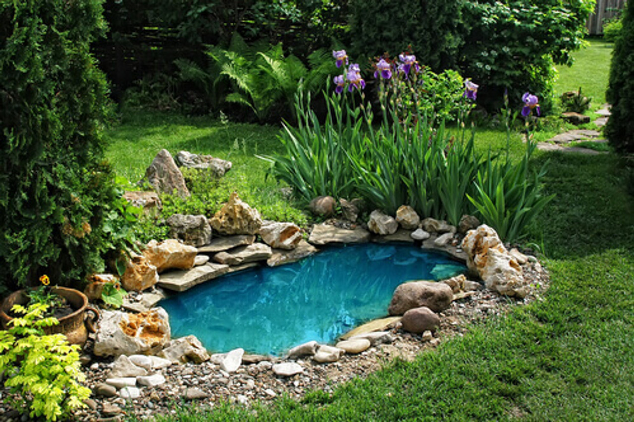 What It Takes To Winterize A Water Garden