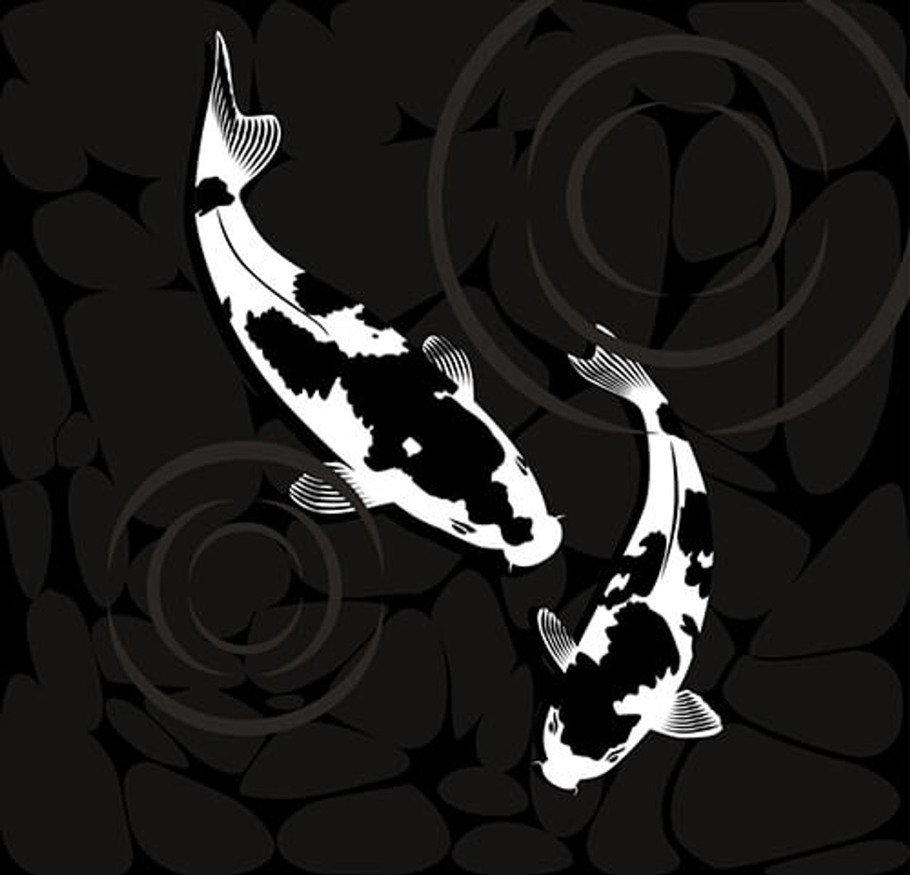 What You Should Know About Black Colored Koi