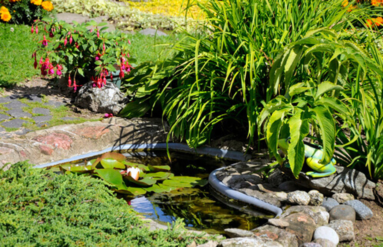 Why Pond Liming Is Important