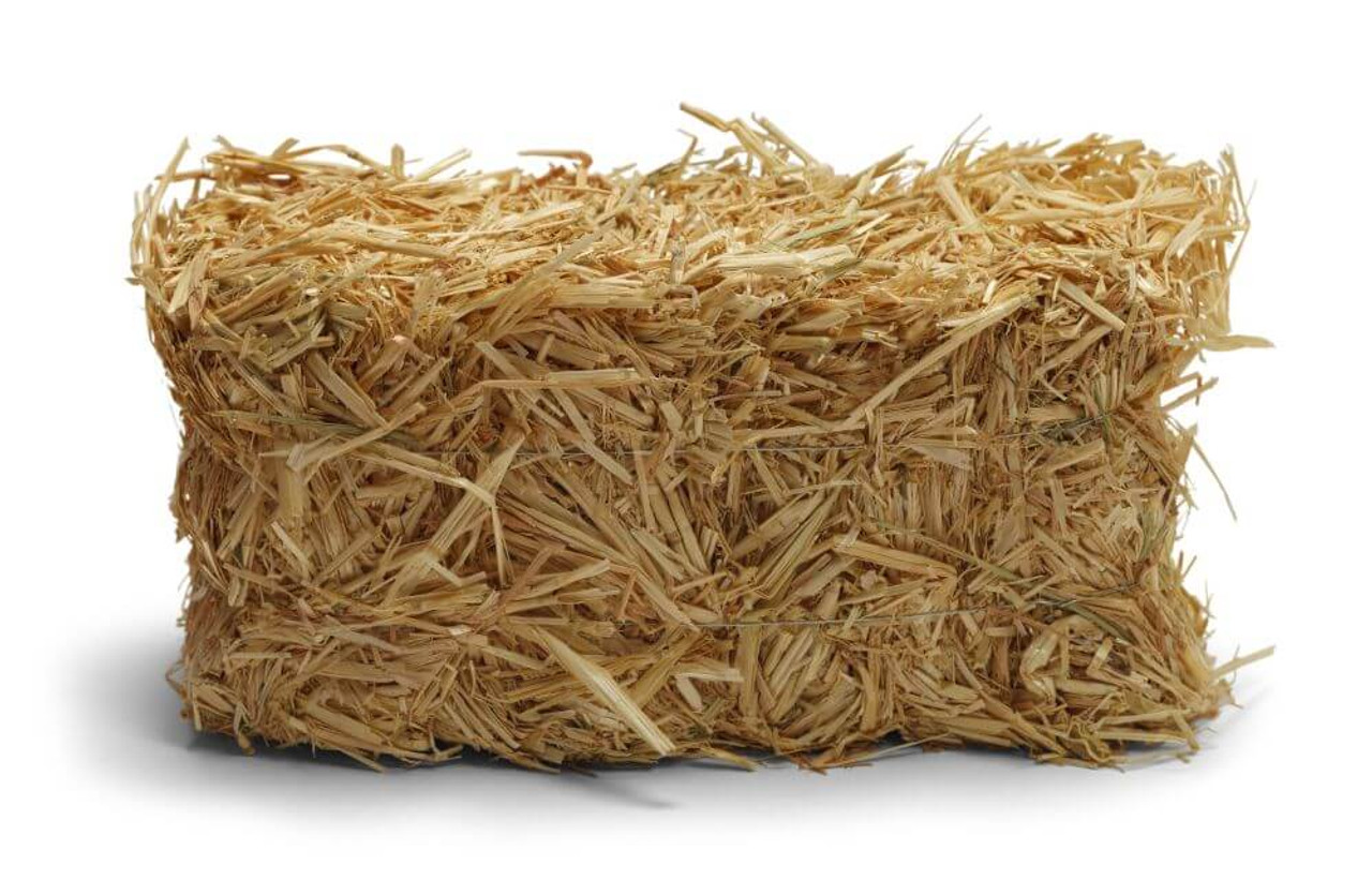 Why You Should Garden Using Straw Bales