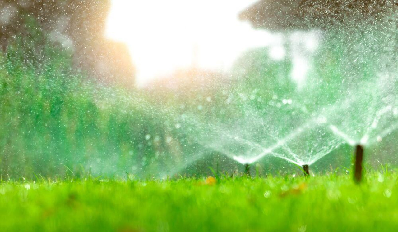 Why You Should Not Deactivate Your Irrigation System During Rainy Season