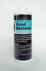 Pond Potions Liquid All-Season Pond Bacteria 32 fl oz Pond Potions Liquid All-Season Pond Bacteria 32 fl oz