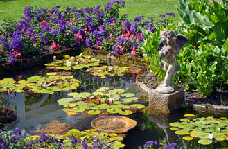 Are Submerged Plants Good For Your Pond?
