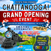 Press Release: Grand Opening — New Chattanooga Location!