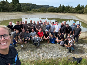 The Art of Koi in Japan: A Journey of Tradition, Beauty, and Passion