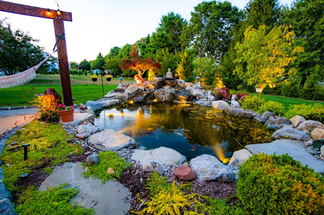Essential Tips for a Stunning Koi Pond Design