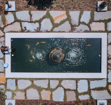 Project Spotlight: Formal Dedicated Koi Pond