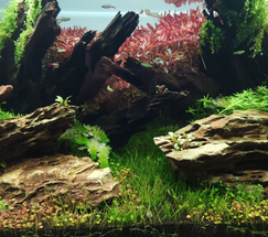 Do Aquarium Plants Need Fertilizer? A Guide to Nutrients and Growth