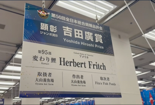 Fitz’s Fish Ponds & Koi Trips USA Attend the 56th All Japan Nishikigoi Show