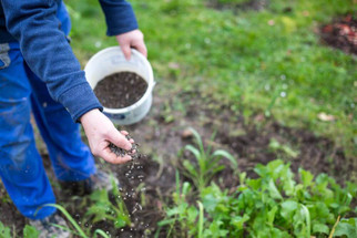 How to Choose The Best Garden Fertilizer