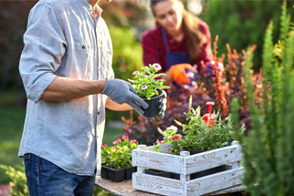 How To Conserve Water While Gardening