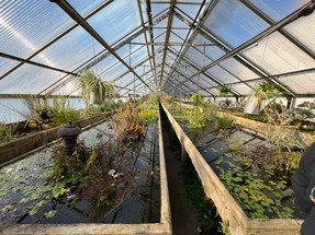 FFP Revives Historic Waterford Gardens — Grand Opening!