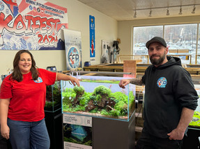Master Aquascaping: Beginner-Friendly Class (Aquascaping 101)