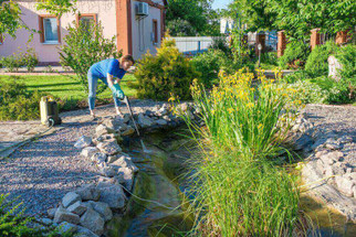 Important Tips To Keep Your Pond Water Clean And Clear