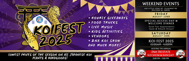 Announcing Koi Fest 2025: Koi, Community & Culture