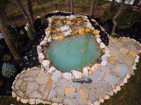 Essential Koi Pond Accessories for a Thriving Ecosystem