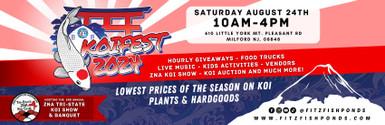 Join Us August 24: 3rd Annual Koi Fest