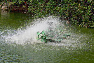 Choosing An Alternative To Pond Heaters