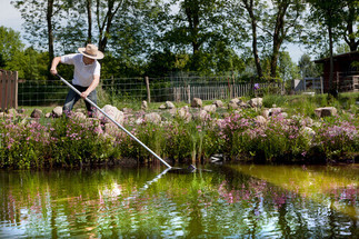 Pond Cleaning Isn't As Easy As You Think!