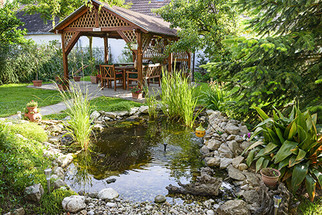 Pond Maintenance Tips For The Summer Season