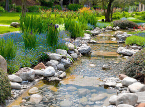 Pondscaping Ideas For Your Inspiration