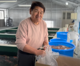 The Process of Shipping Koi from Japan to Fitz’s Fish Ponds