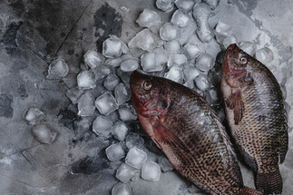 Preventing Fish Kills During The Winter