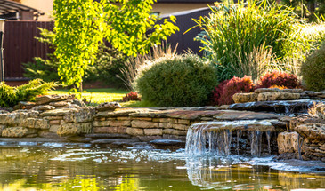 Quick Tips For Your First Pond Landscaping Project