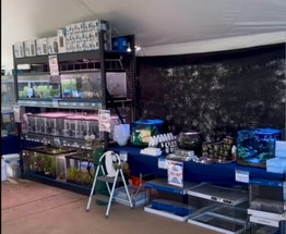 FFP Aquariums & Aquascaping Debuts at Koi Fest 2024