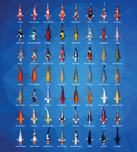 Types of Koi: A Beginner’s Guide to Different Koi Varieties