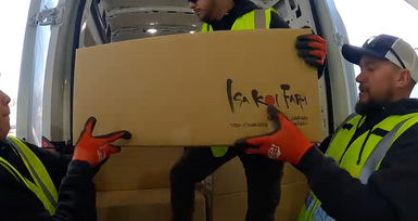 Koi Shipment Season Recap: “Shipment 4, 5, 6… We Lost Count!