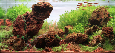 Celebrating Jenn Bujalski’s Success at IAPLC 2025