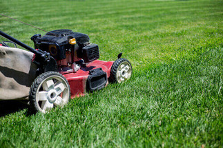 SUSTAINABLE SUMMED UP: LAWNCARE